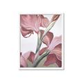 Picture of Dancing Tulip _GroupedProduct_Rectangle_Portrait_Framed_Matted_