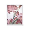 Picture of Dancing Tulip _GroupedProduct_Rectangle_Portrait_Framed_Matted_