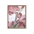 Picture of Dancing Tulip _GroupedProduct_Rectangle_Portrait_Framed_Matted_