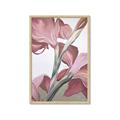 Picture of Dancing Tulip _GroupedProduct_Rectangle_Portrait_Framed_Matted_