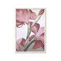 Picture of Dancing Tulip _GroupedProduct_Rectangle_Portrait_Framed_Matted_