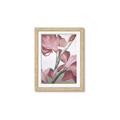 Picture of Dancing Tulip _GroupedProduct_Rectangle_Portrait_Framed_Matted_