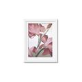 Picture of Dancing Tulip _GroupedProduct_Rectangle_Portrait_Framed_Matted_