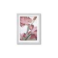 Picture of Dancing Tulip _GroupedProduct_Rectangle_Portrait_Framed_Matted_