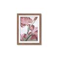 Picture of Dancing Tulip _GroupedProduct_Rectangle_Portrait_Framed_Matted_