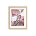 Picture of Dancing Tulip _GroupedProduct_Rectangle_Portrait_Framed_Matted_