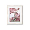 Picture of Dancing Tulip _GroupedProduct_Rectangle_Portrait_Framed_Matted_
