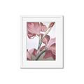 Picture of Dancing Tulip _GroupedProduct_Rectangle_Portrait_Framed_Matted_