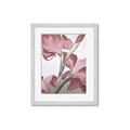 Picture of Dancing Tulip _GroupedProduct_Rectangle_Portrait_Framed_Matted_
