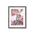 Picture of Dancing Tulip _GroupedProduct_Rectangle_Portrait_Framed_Matted_