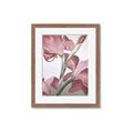Picture of Dancing Tulip _GroupedProduct_Rectangle_Portrait_Framed_Matted_