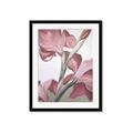 Picture of Dancing Tulip _GroupedProduct_Rectangle_Portrait_Framed_Matted_