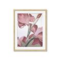 Picture of Dancing Tulip _GroupedProduct_Rectangle_Portrait_Framed_Matted_