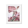 Picture of Dancing Tulip _GroupedProduct_Rectangle_Portrait_Framed_Matted_