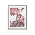 Picture of Dancing Tulip _GroupedProduct_Rectangle_Portrait_Framed_Matted_
