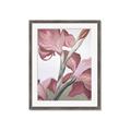 Picture of Dancing Tulip _GroupedProduct_Rectangle_Portrait_Framed_Matted_