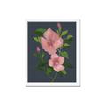 Picture of Pink Tropical Flower _GroupedProduct_Rectangle_Portrait_Framed_Matted_