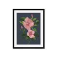 Picture of Pink Tropical Flower _GroupedProduct_Rectangle_Portrait_Framed_Matted_