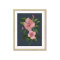 Picture of Pink Tropical Flower _GroupedProduct_Rectangle_Portrait_Framed_Matted_