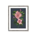 Picture of Pink Tropical Flower _GroupedProduct_Rectangle_Portrait_Framed_Matted_