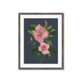 Picture of Pink Tropical Flower _GroupedProduct_Rectangle_Portrait_Framed_Matted_