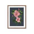 Picture of Pink Tropical Flower _GroupedProduct_Rectangle_Portrait_Framed_Matted_