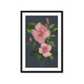 Picture of Pink Tropical Flower _GroupedProduct_Rectangle_Portrait_Framed_Matted_