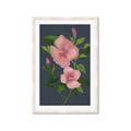 Picture of Pink Tropical Flower _GroupedProduct_Rectangle_Portrait_Framed_Matted_