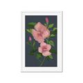 Picture of Pink Tropical Flower _GroupedProduct_Rectangle_Portrait_Framed_Matted_