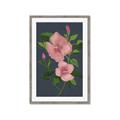 Picture of Pink Tropical Flower _GroupedProduct_Rectangle_Portrait_Framed_Matted_