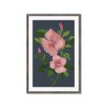 Picture of Pink Tropical Flower _GroupedProduct_Rectangle_Portrait_Framed_Matted_