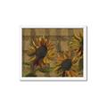 Picture of Sunflower In The Evening I _GroupedProduct_Rectangle_Landscape_Framed_Matted_