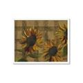 Picture of Sunflower In The Evening I _GroupedProduct_Rectangle_Landscape_Framed_Matted_