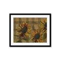 Picture of Sunflower In The Evening I _GroupedProduct_Rectangle_Landscape_Framed_Matted_