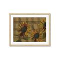 Picture of Sunflower In The Evening I _GroupedProduct_Rectangle_Landscape_Framed_Matted_