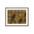 Picture of Sunflower In The Evening I _GroupedProduct_Rectangle_Landscape_Framed_Matted_