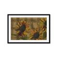 Picture of Sunflower In The Evening I _GroupedProduct_Rectangle_Landscape_Framed_Matted_