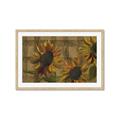 Picture of Sunflower In The Evening I _GroupedProduct_Rectangle_Landscape_Framed_Matted_