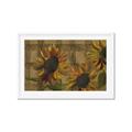Picture of Sunflower In The Evening I _GroupedProduct_Rectangle_Landscape_Framed_Matted_