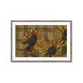 Picture of Sunflower In The Evening I _GroupedProduct_Rectangle_Landscape_Framed_Matted_