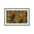 Picture of Sunflower In The Evening I _GroupedProduct_Rectangle_Landscape_Framed_Matted_