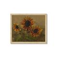 Picture of Sunflower In The Evening II _GroupedProduct_Rectangle_Landscape_Framed_Matted_