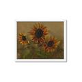 Picture of Sunflower In The Evening II _GroupedProduct_Rectangle_Landscape_Framed_Matted_