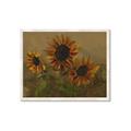Picture of Sunflower In The Evening II _GroupedProduct_Rectangle_Landscape_Framed_Matted_