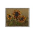 Picture of Sunflower In The Evening II _GroupedProduct_Rectangle_Landscape_Framed_Matted_