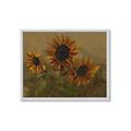 Picture of Sunflower In The Evening II _GroupedProduct_Rectangle_Landscape_Framed_Matted_