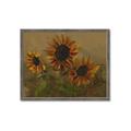 Picture of Sunflower In The Evening II _GroupedProduct_Rectangle_Landscape_Framed_Matted_