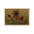 Picture of Sunflower In The Evening II _GroupedProduct_Rectangle_Landscape_Framed_Matted_