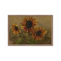 Picture of Sunflower In The Evening II _GroupedProduct_Rectangle_Landscape_Framed_Matted_