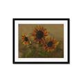 Picture of Sunflower In The Evening II _GroupedProduct_Rectangle_Landscape_Framed_Matted_